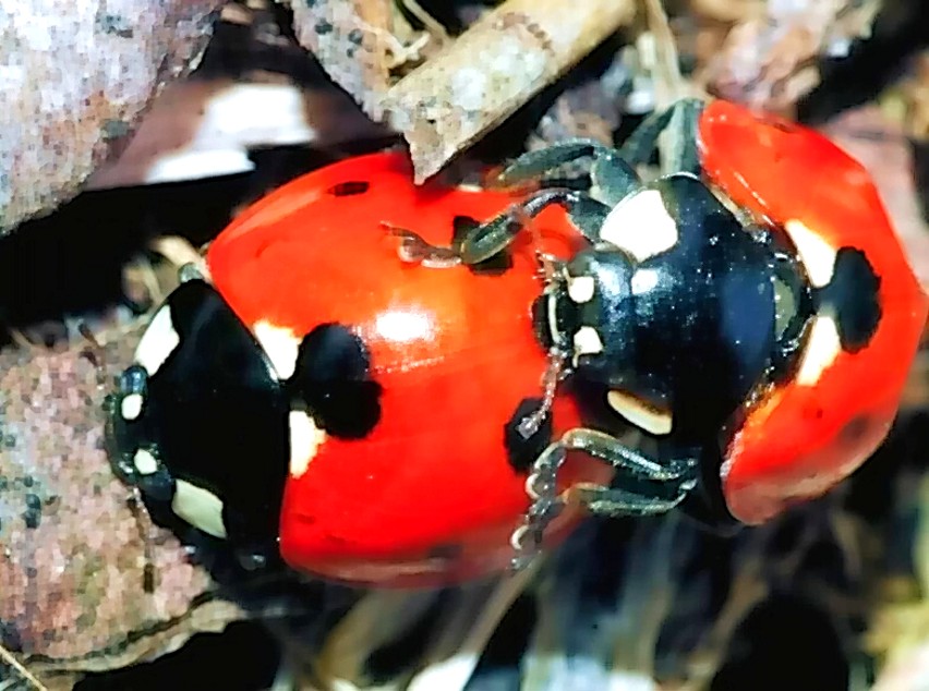 Immagini di archivio